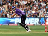 了积极的努 了积极的努