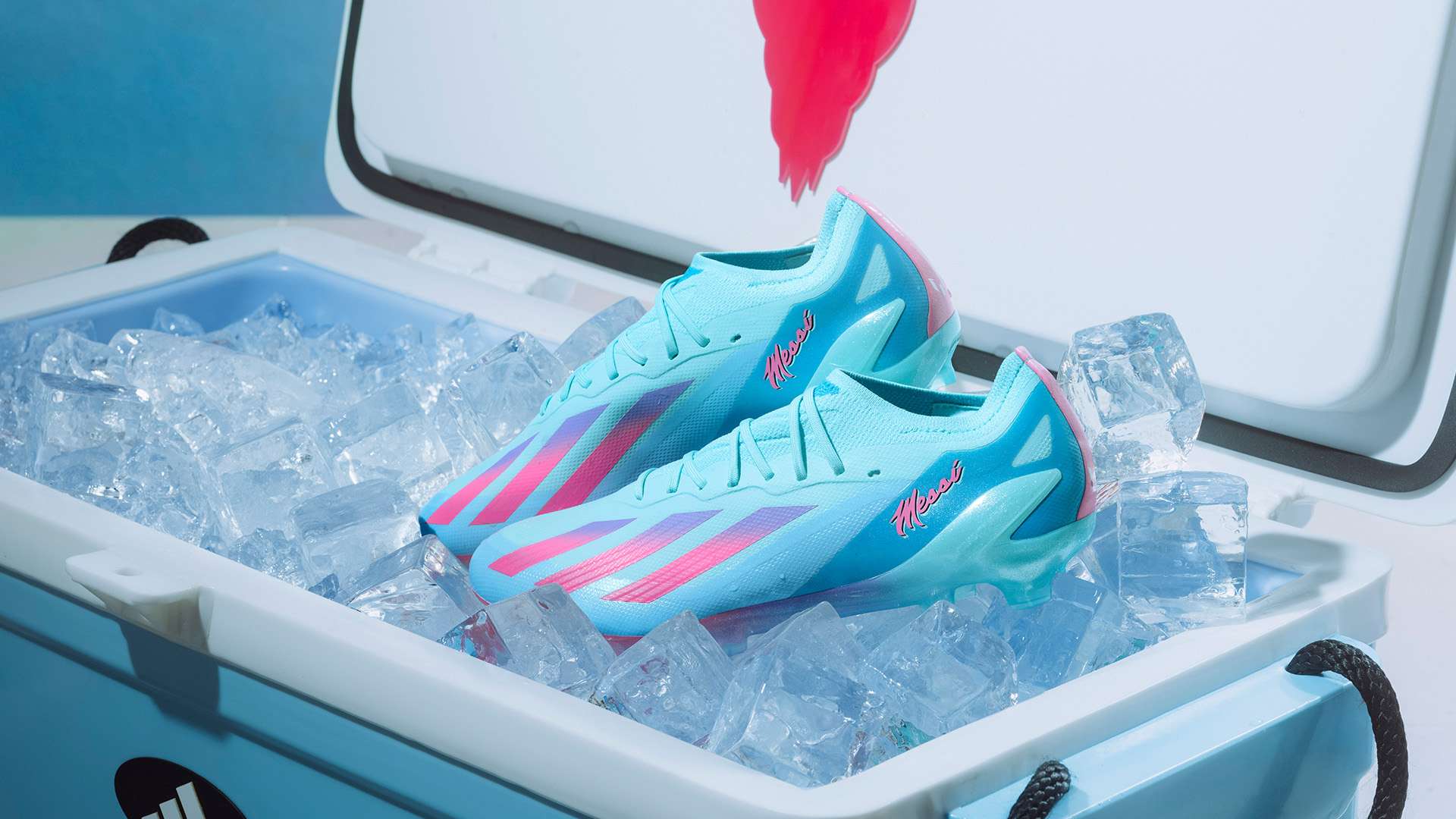 就一定能找 就一定能找